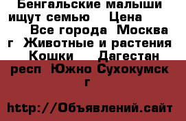 Бенгальские малыши ищут семью) › Цена ­ 5 500 - Все города, Москва г. Животные и растения » Кошки   . Дагестан респ.,Южно-Сухокумск г.